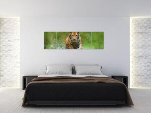 Obraz - Biegnący tygrys (170x50 cm)