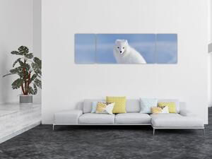 Obraz - Lis polarny (170x50 cm)