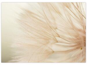 Obraz - Szczegóły kwiatu (70x50 cm)