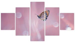 Obraz - Motylek (125x70 cm)