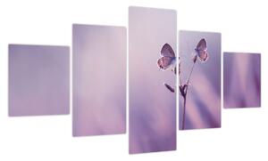 Obraz - Fioletowe motyle (125x70 cm)