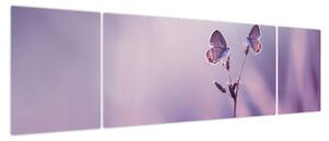 Obraz - Fioletowe motyle (170x50 cm)