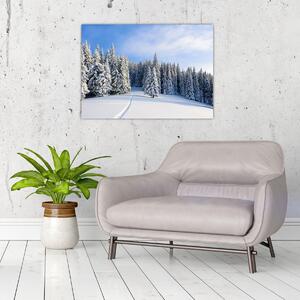Obraz - Zima w lasach (70x50 cm)
