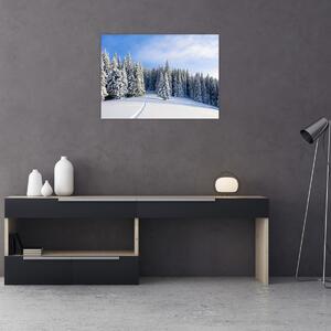 Obraz - Zima w lasach (70x50 cm)