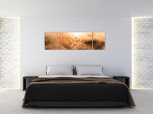 Obraz - Trawa na słońcu (170x50 cm)