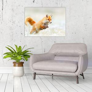 Obraz - Skaczący lis (70x50 cm)