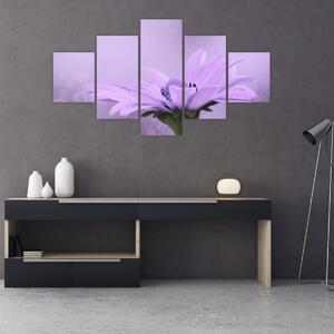 Obraz - Fioletowy kwiat (125x70 cm)