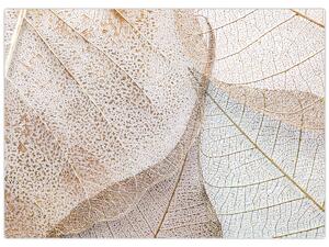 Obraz - Beżowe liście (70x50 cm)