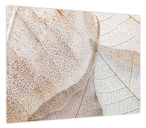 Obraz - Beżowe liście (70x50 cm)