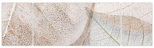 Obraz - Beżowe liście (170x50 cm)