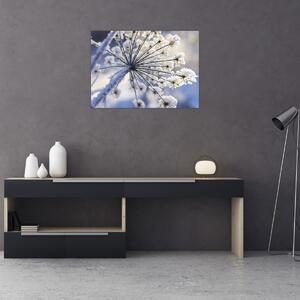 Obraz - Zamarznięty kwiat (70x50 cm)