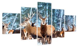 Obraz - Stado jeleni (125x70 cm)