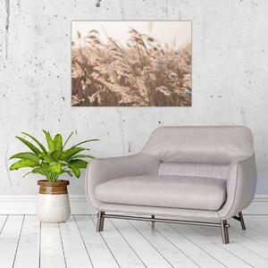 Obraz - Łąkowy wianek (70x50 cm)