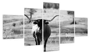 Obraz - Krowa, czarno - biała (125x70 cm)