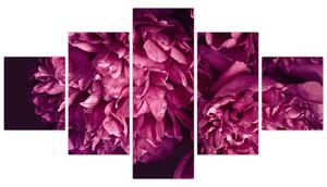 Obraz - Kwiaty piwonii (125x70 cm)