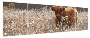 Obraz - Szkocka krowa w kwiatach (170x50 cm)