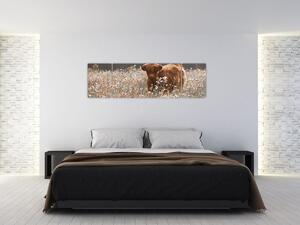 Obraz - Szkocka krowa w kwiatach (170x50 cm)
