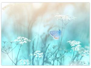 Obraz - Motyl w niebieskim (70x50 cm)