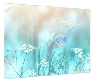 Obraz - Motyl w niebieskim (70x50 cm)