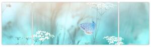 Obraz - Motyl w niebieskim (170x50 cm)