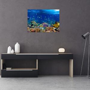 Obraz - Ocean (70x50 cm)
