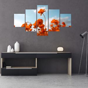 Obraz - Łąkowe kwiaty (125x70 cm)