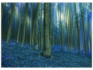 Obraz - Niebieski las (70x50 cm)