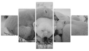 Obraz - Niedźwiadki polarne, czarno - biały (125x70 cm)