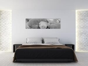Obraz - Niedźwiadki polarne, czarno - biały (170x50 cm)