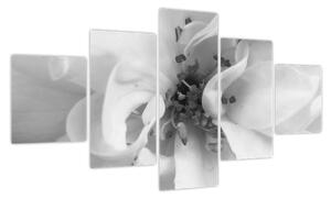 Obraz - Kwiat, czarno - biały (125x70 cm)