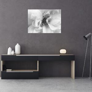 Obraz - Kwiat, czarno - biały (70x50 cm)