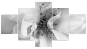 Obraz - Kwiat, czarno - biały (125x70 cm)