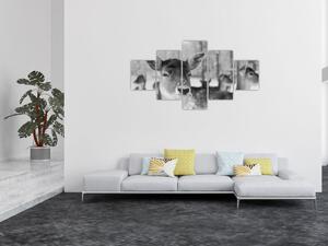Obraz - Jelonki, czarno - biały (125x70 cm)