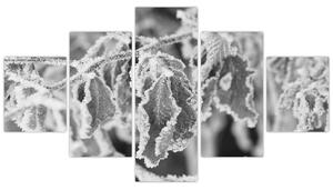 Obraz - Zmarznięte liście, czarno - biały (125x70 cm)