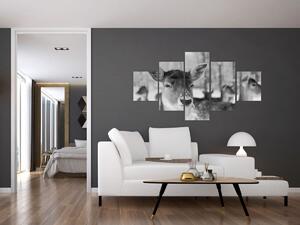 Obraz - Jelonki, czarno - biały (125x70 cm)