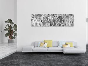 Obraz - Zmarznięte liście, czarno - biały (170x50 cm)