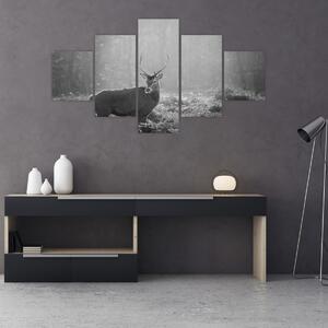 Obraz - Jeleń w lesie, czarno - biały (125x70 cm)