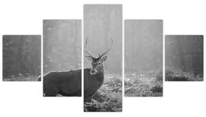 Obraz - Jeleń w lesie, czarno - biały (125x70 cm)