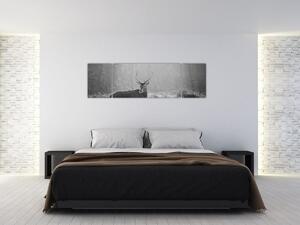 Obraz - Jeleń w lesie, czarno - biały (170x50 cm)
