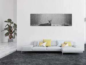 Obraz - Jeleń w lesie, czarno - biały (170x50 cm)
