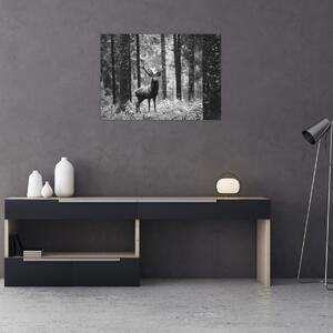 Obraz - Jeleń w lesie 2, czarno - biały (70x50 cm)