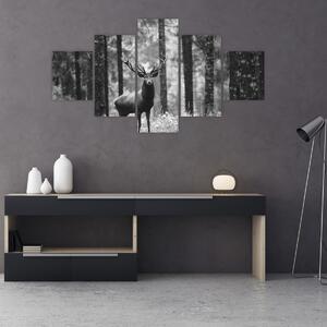 Obraz - Jeleń w lesie 2, czarno - biały (125x70 cm)