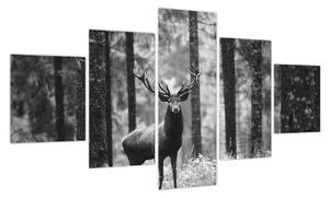 Obraz - Jeleń w lesie 2, czarno - biały (125x70 cm)