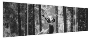 Obraz - Jeleń w lesie 2, czarno - biały (170x50 cm)