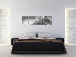 Obraz - Wilk, czarno - biały (170x50 cm)