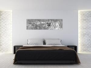 Obraz - Lis, czarno - biały (170x50 cm)