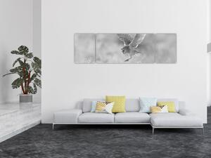 Obraz - Sowa, czarno - biały (170x50 cm)