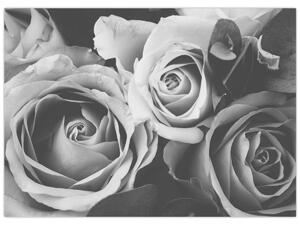 Obraz - Róża, czarno - biały (70x50 cm)