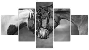 Obraz - Zakochane konie, czarno - biały (125x70 cm)
