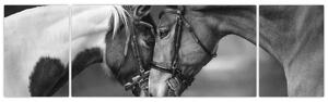 Obraz - Zakochane konie, czarno - biały (170x50 cm)